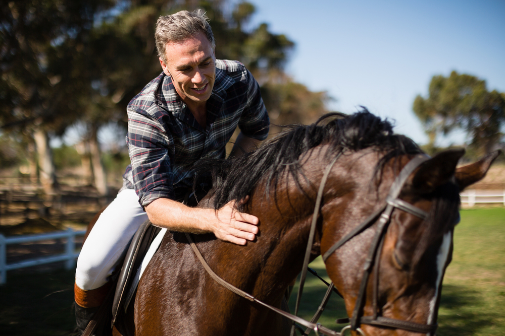 How to Become a Horse Care Specialist